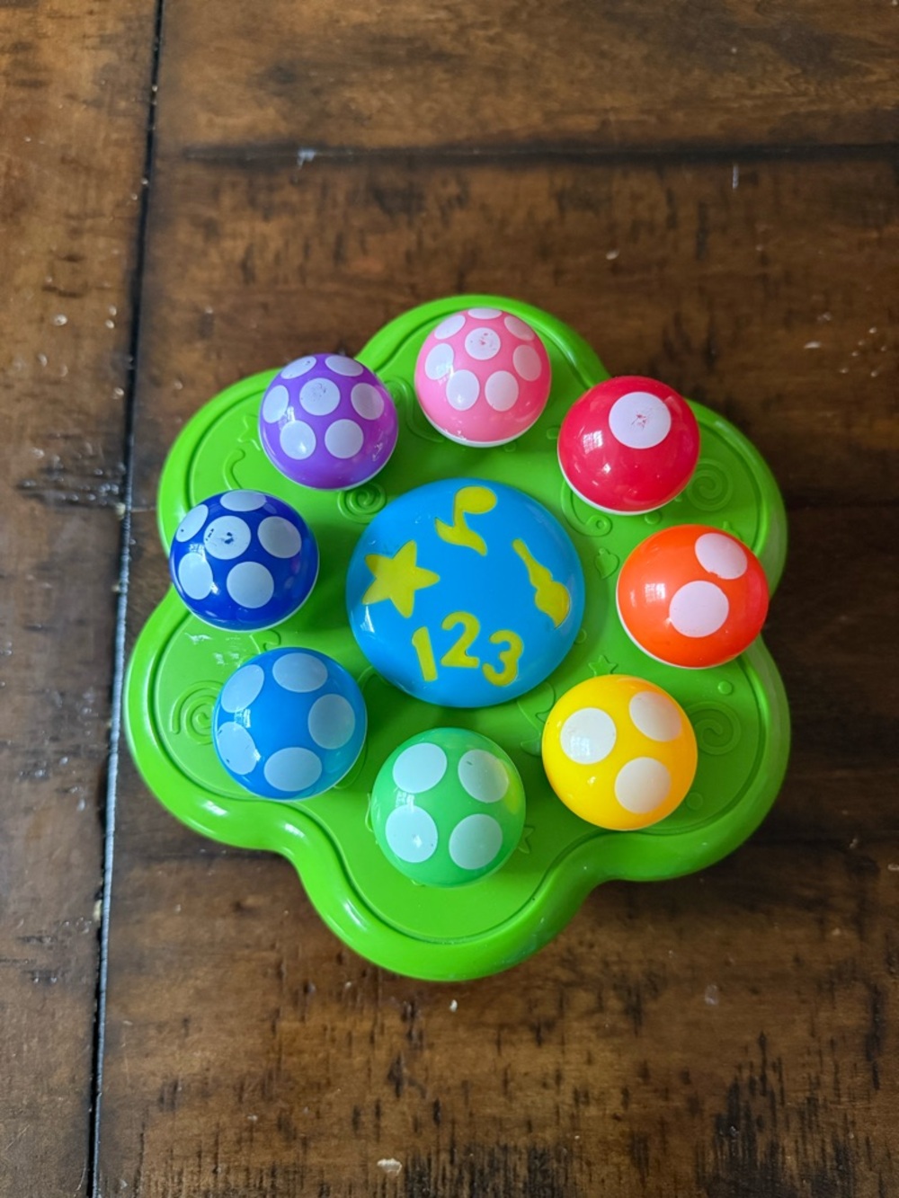 Best Learning Mushroom Garden Interactive Music Toy for Toddlers